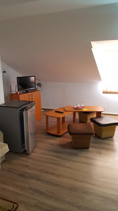 Vila Casa Borcean Sasca Montană Exteriér fotografie