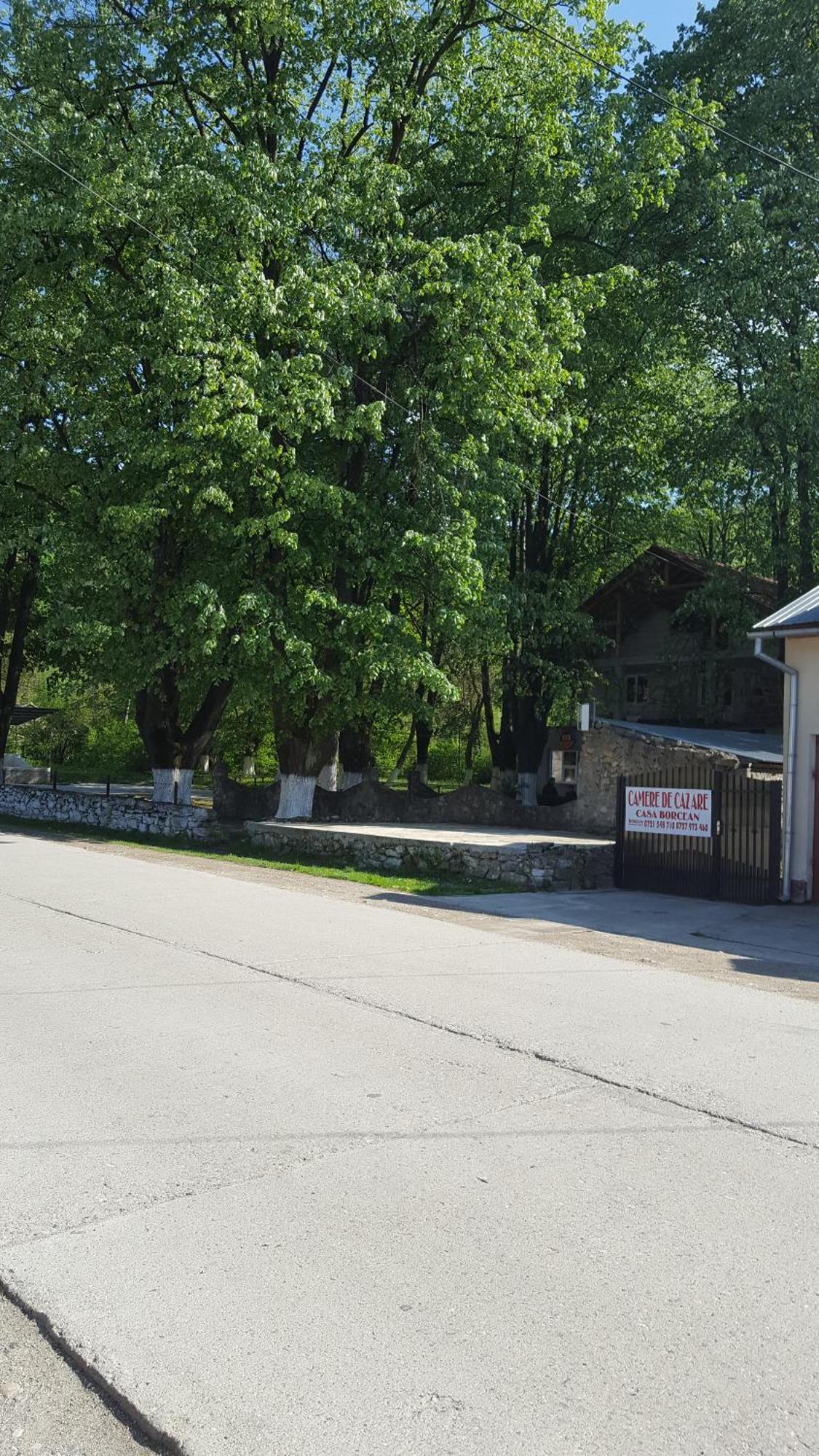 Vila Casa Borcean Sasca Montană Exteriér fotografie